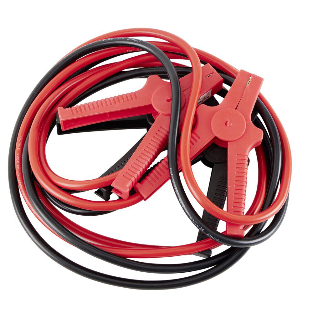 Câble de démarrage universel pour batterie 12-24V