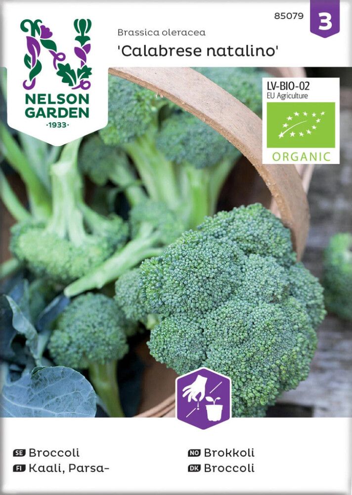 GRØNNSAKSFRØ NELSON GARDEN BROKKOLI CALABRESE NATALINO
