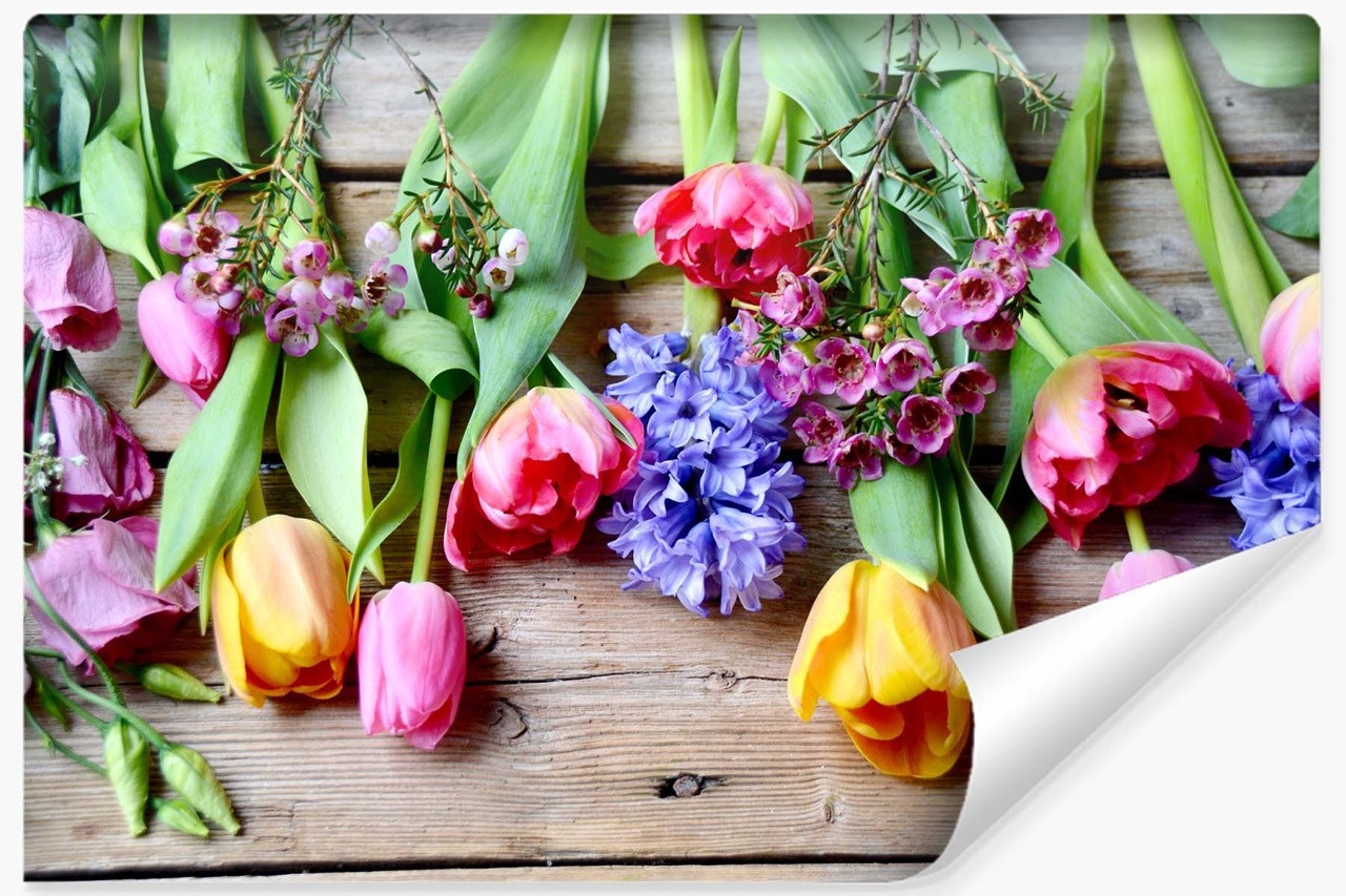 Fototapeta Barwne Tulipany 90x60cm