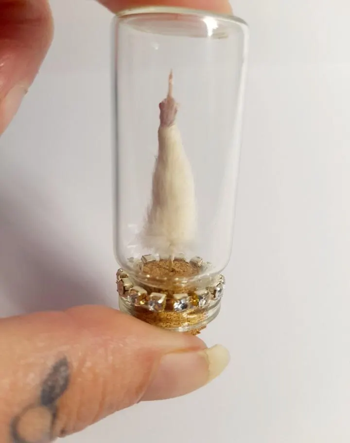 Miniature Oddity Taxidermy Mouse Middle Finger in Glass Bottle - FunnyGift - Offensive Novelty Decor