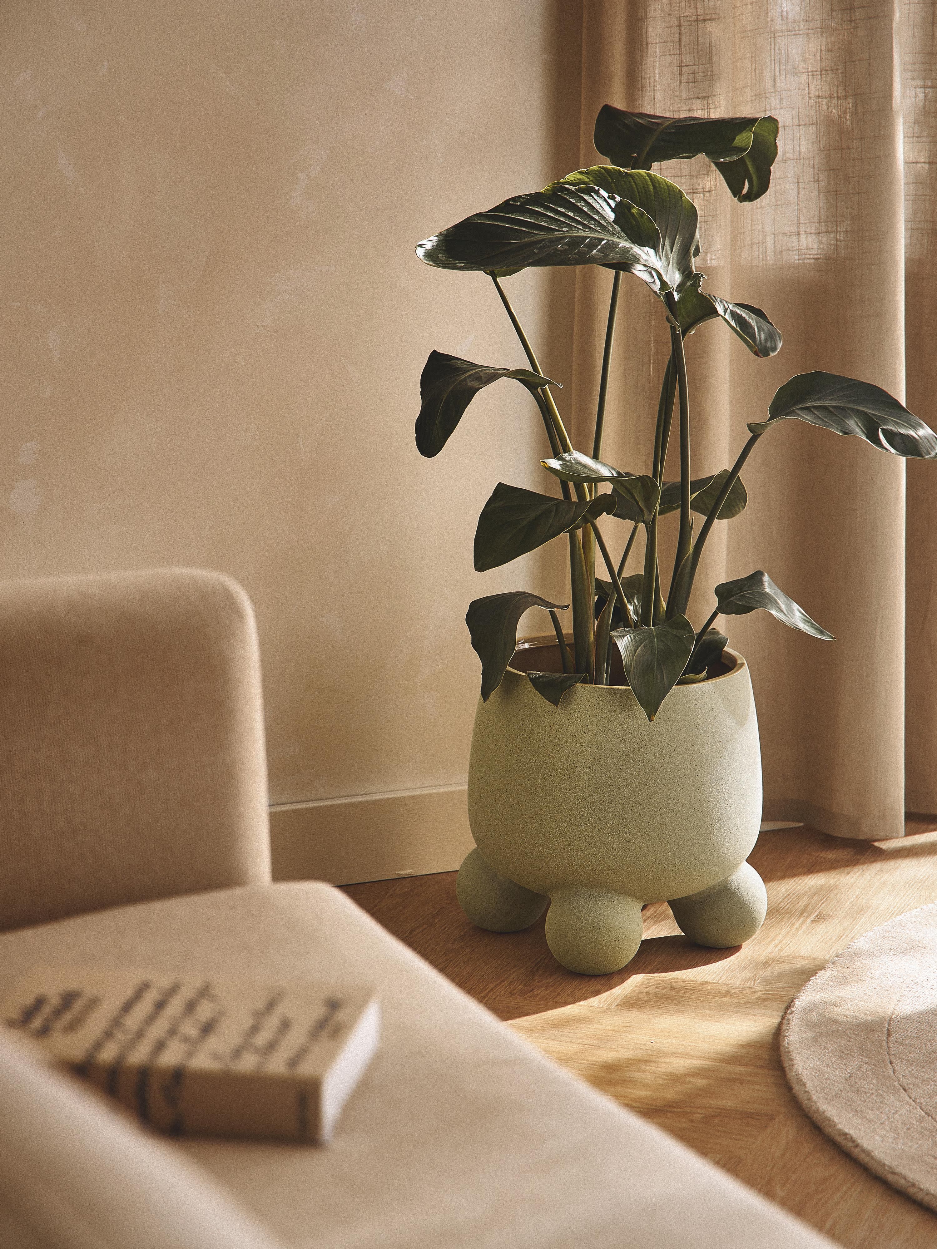 Großer übertopf Olea, H 32 cm