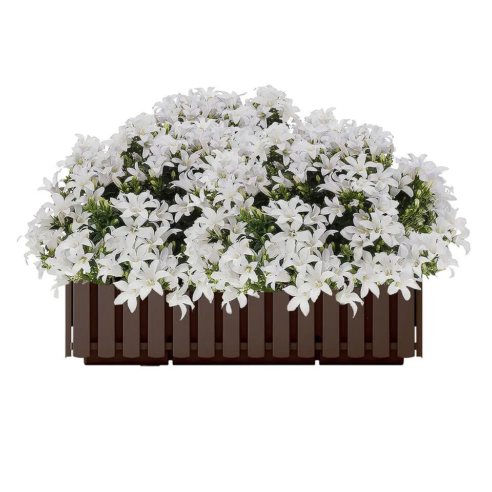 Prosperplast Plantenbak - kunststof - bruin - 58 x 18 x 16 cm