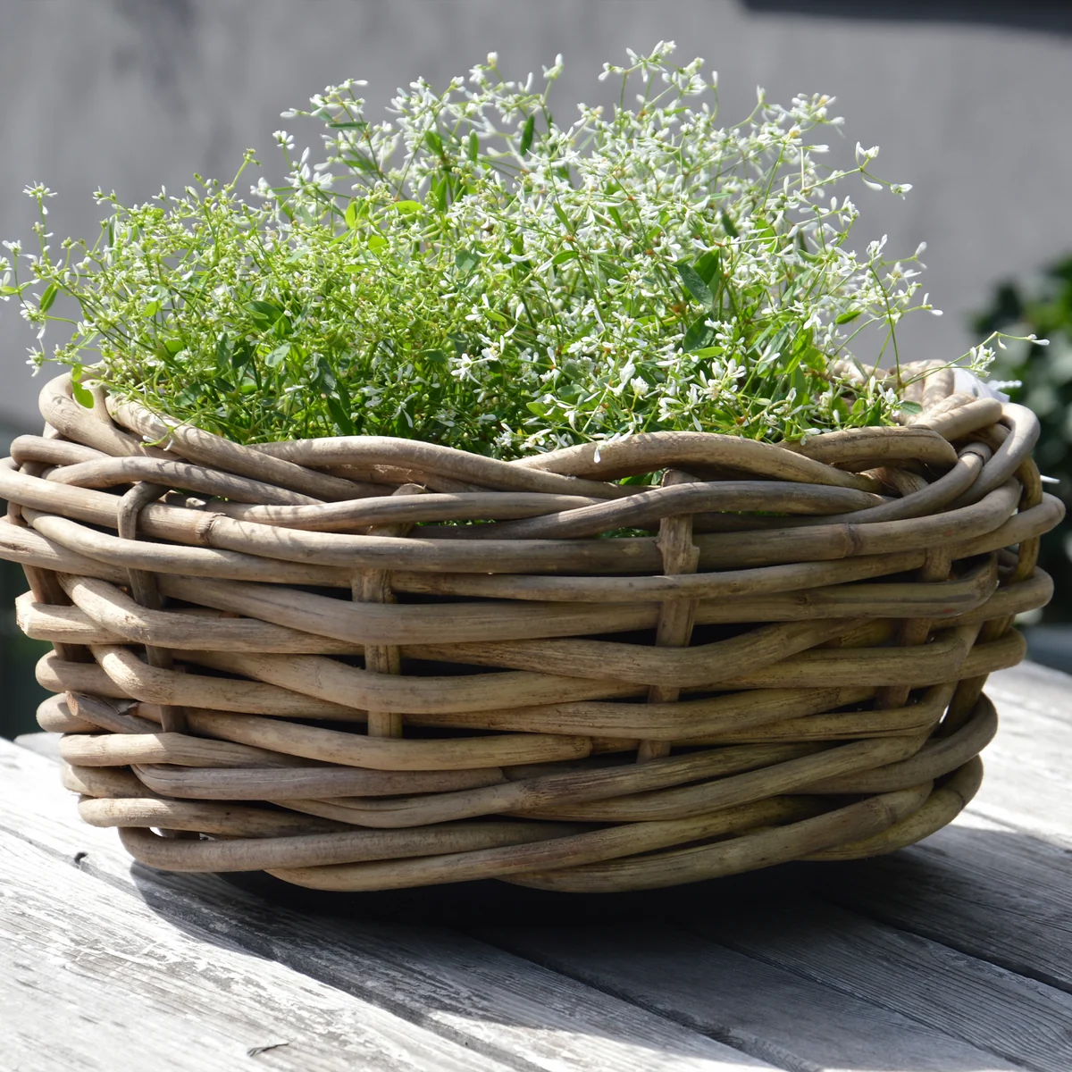 Jan Kurtz - Palau Korb, Ø 83 cm, H 61 cm, Rattan natur