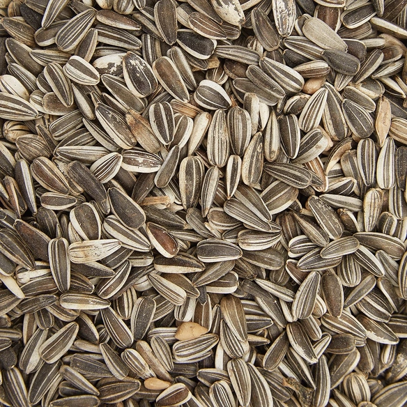 Wildvogelfutter »Gartenkrone«, 4 kg, Erdnuss