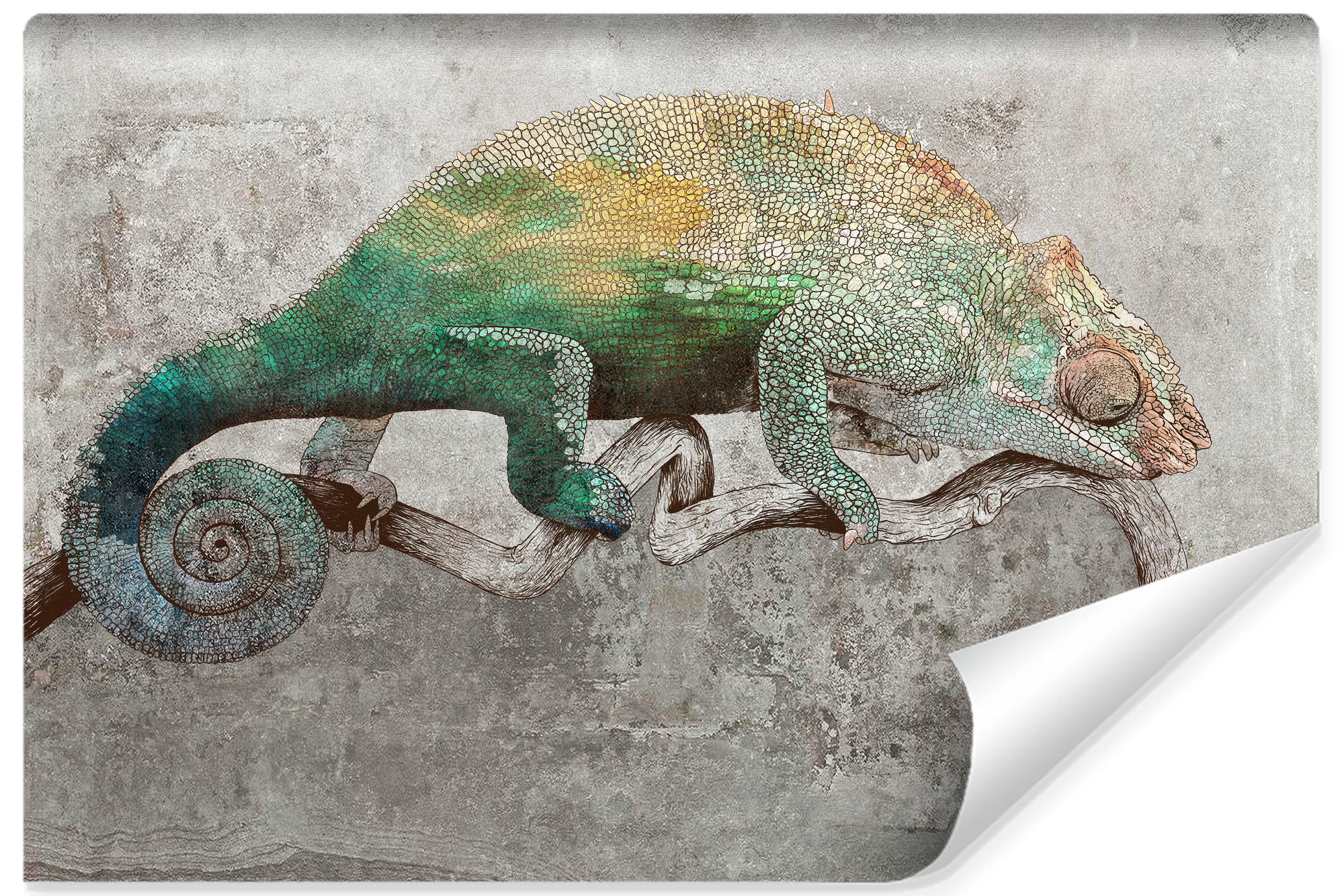Fototapeta Kameleon Na Betonie Abstrakcja 90x60cm