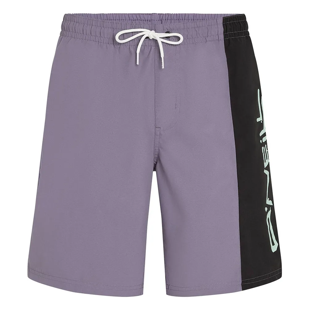 O´neill Retro 19´´ swimming shorts