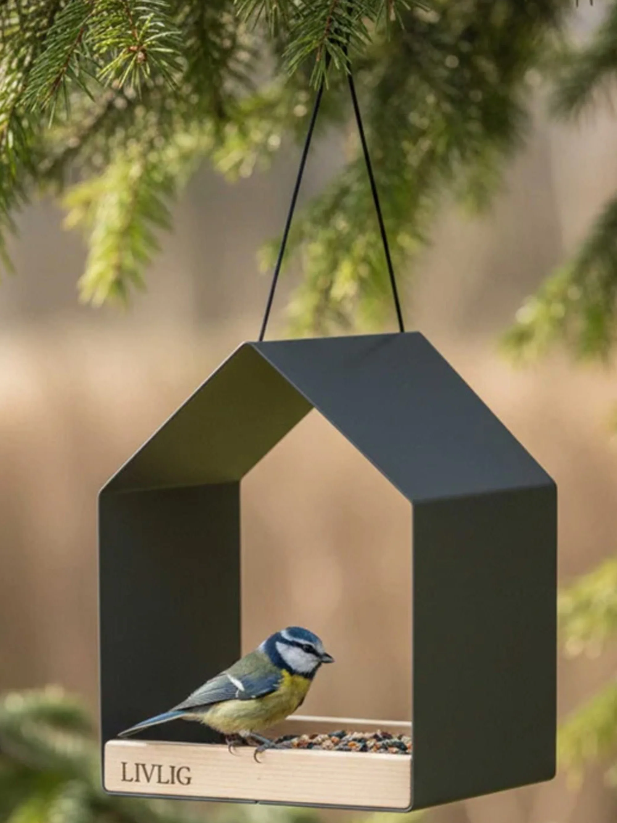 Metall-Vogelhaus Zayed