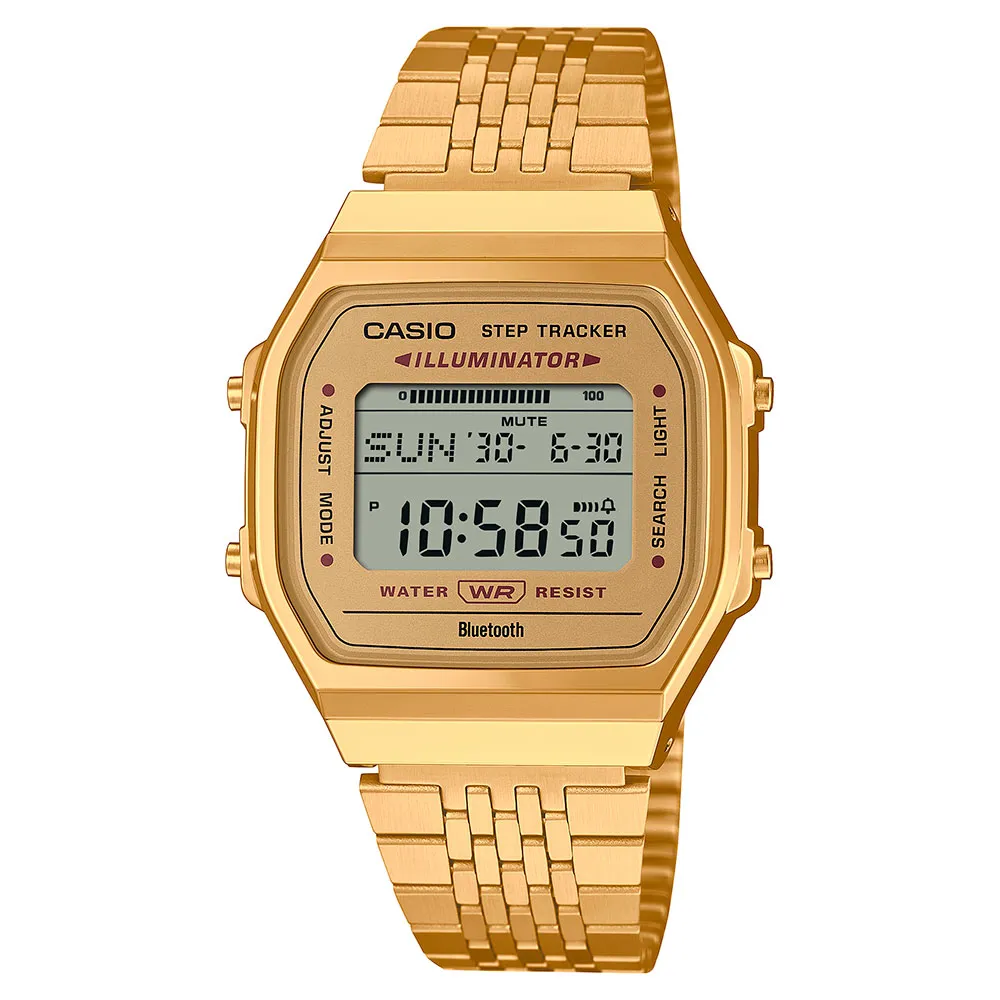Casio ABL-100WEG-9AEF watch