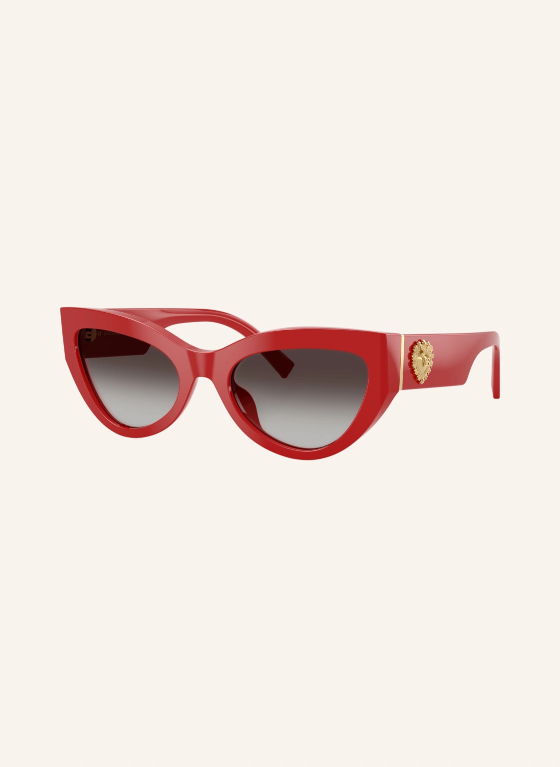 DOLCE & GABBANA Sonnenbrille DG4536