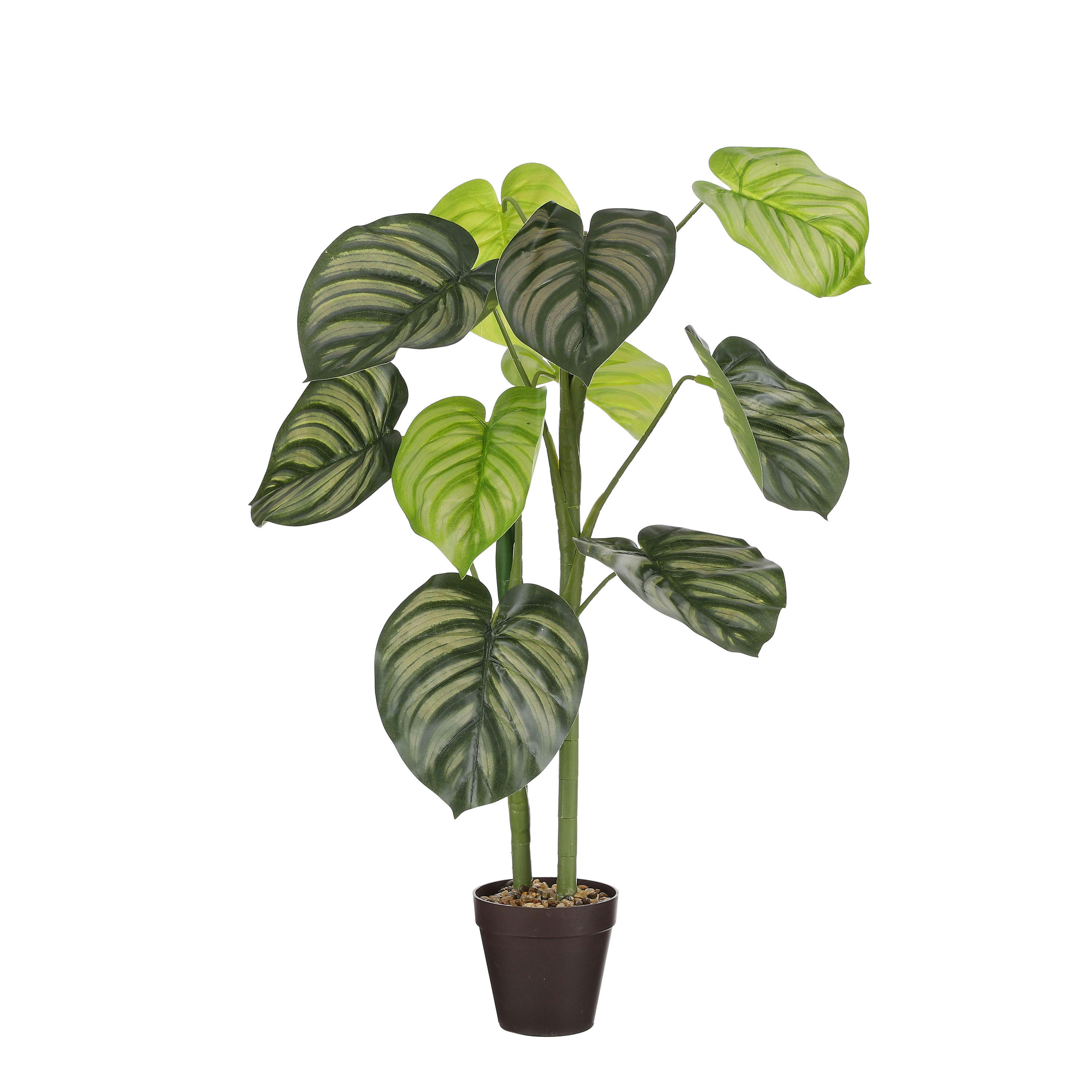 - Caladium artificielle vert foncé en pot H100