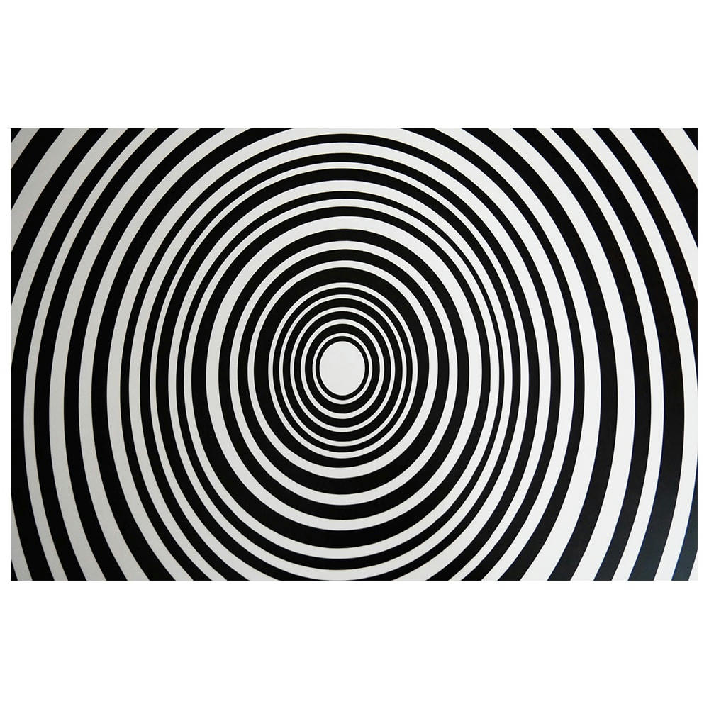 - Tableau impression sur toile ma tête tourne 60x90cm