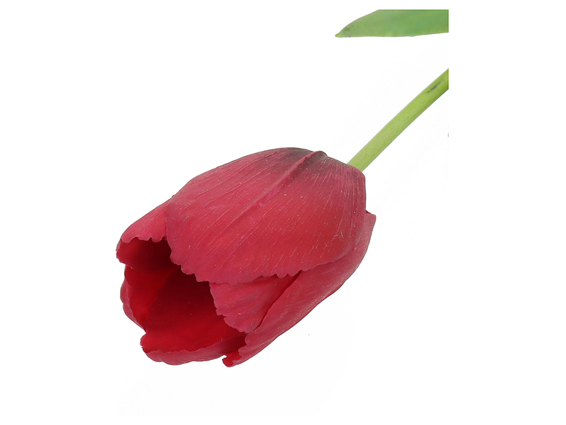 Tulipan pojedynczy 47 cm czerwony