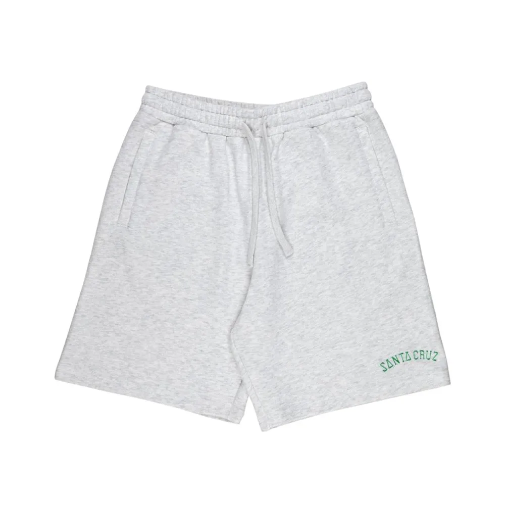 Santa Cruz Collegiate shorts