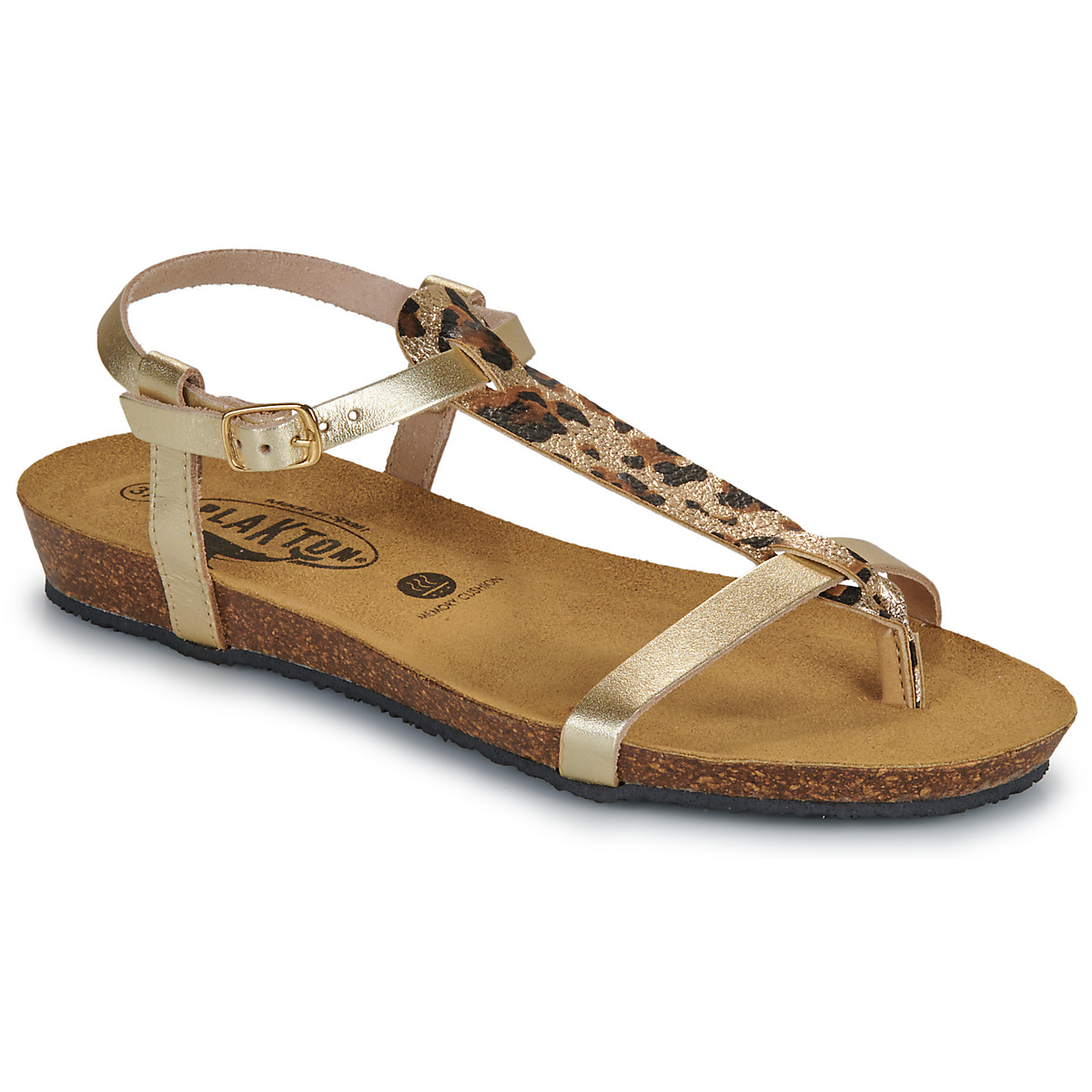 Plakton - FRAN ZOUK - Gold