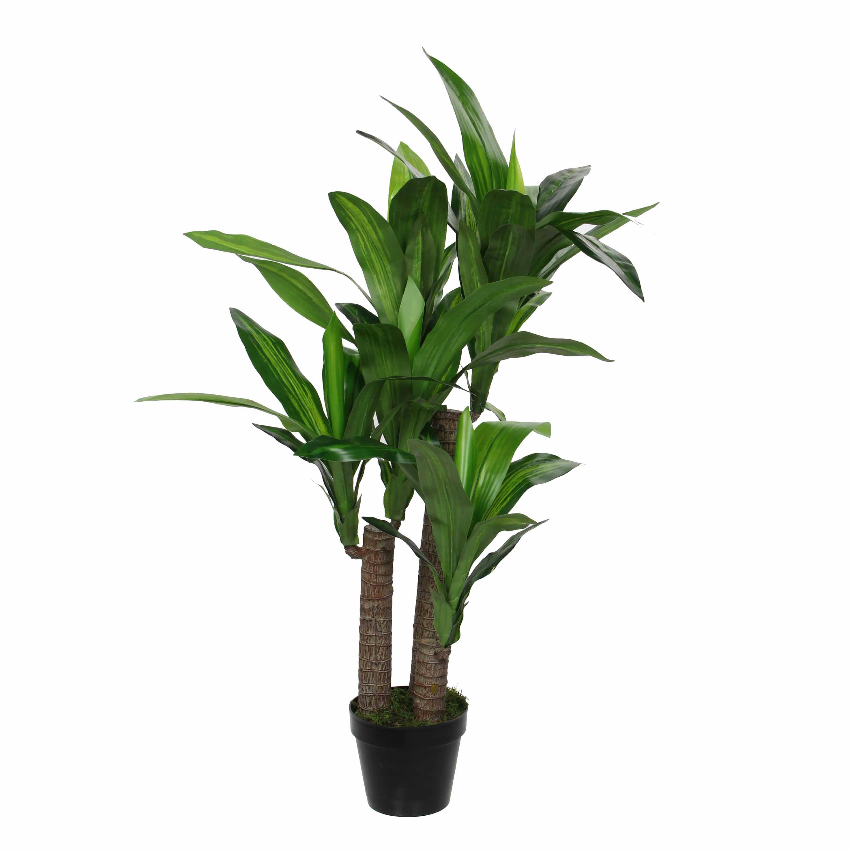 - Dracaena artificielle en pot H110
