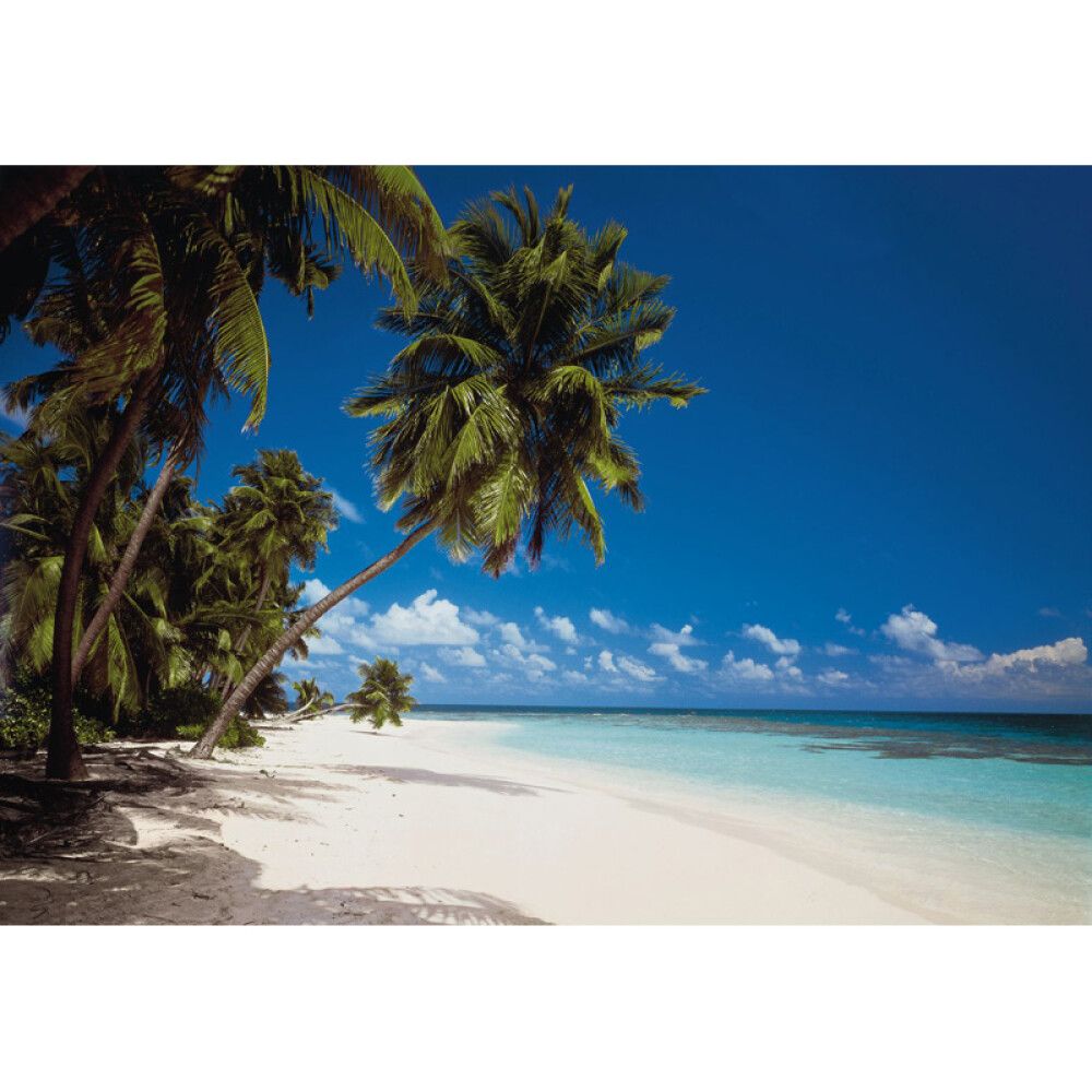 FOTOTAPET KOMAR MALDIVES