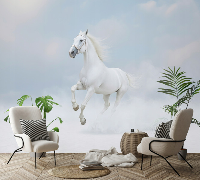 Fototapeta Koń Biały Chmury Zwierzęta Na Ścianę Sypialnia Salon 250X175