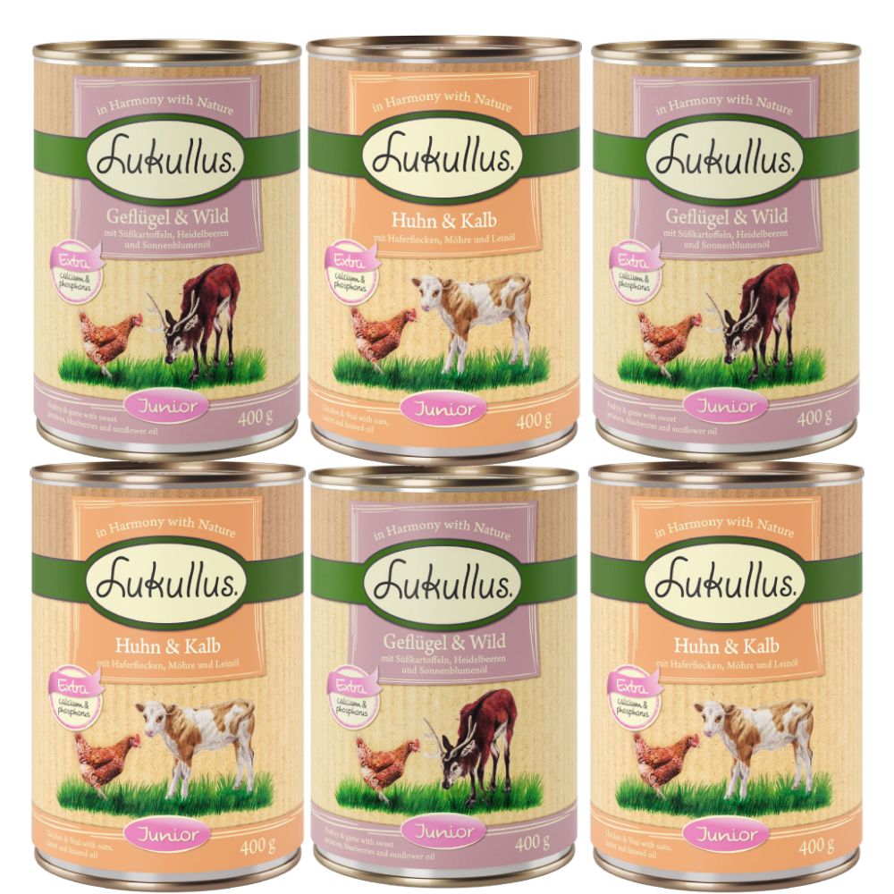 Lukullus Junior Mixed Trial Pack 6 x 400g