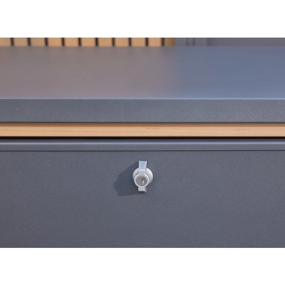 Aufbewahrungsbox »Design«, Stahl, BxHxT: 160 x 84 x 79 cm, anthrazit