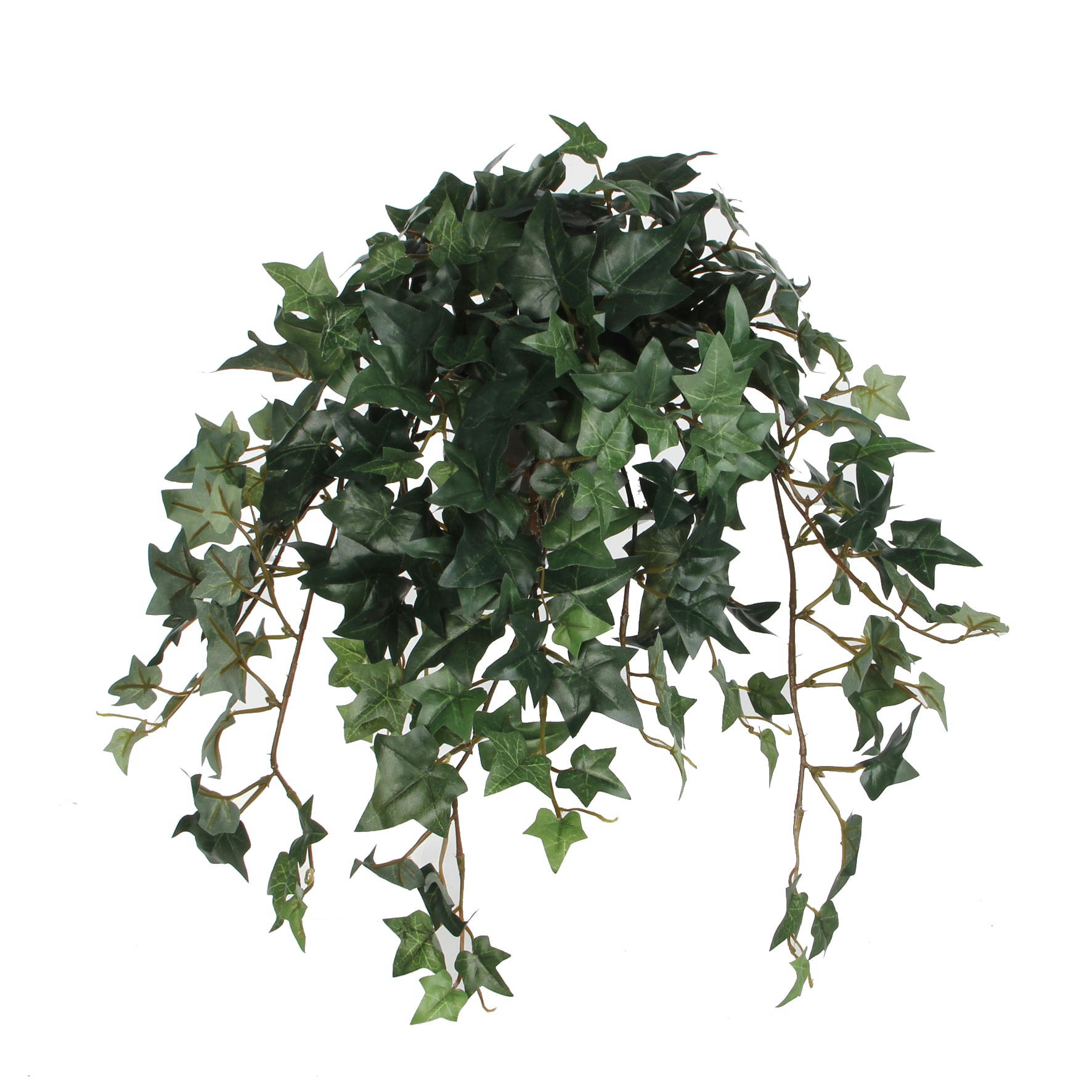 - Hedera artificielle verte H45