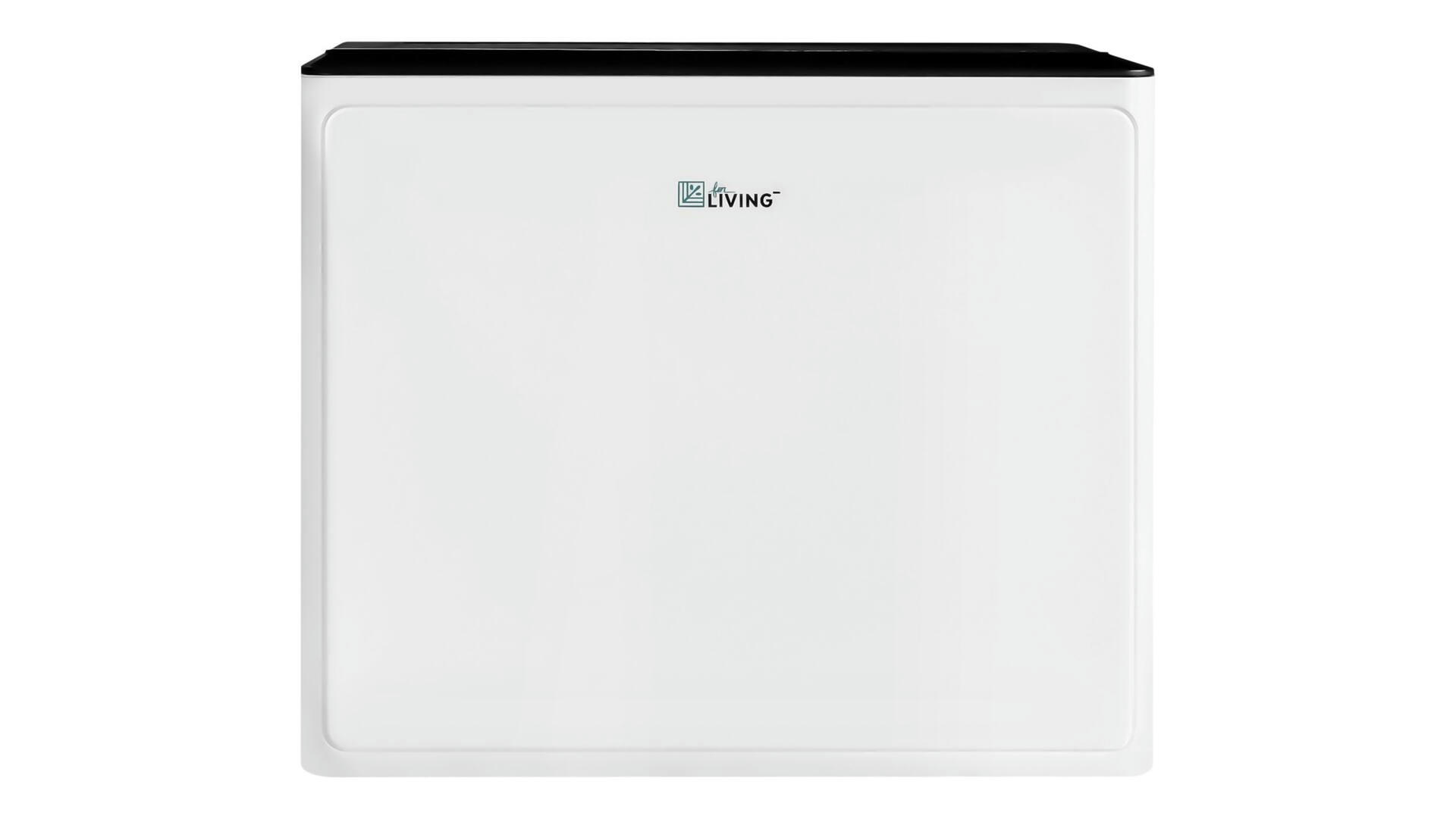 For Living 22 Pint 2-Speed Dehumidifier, White