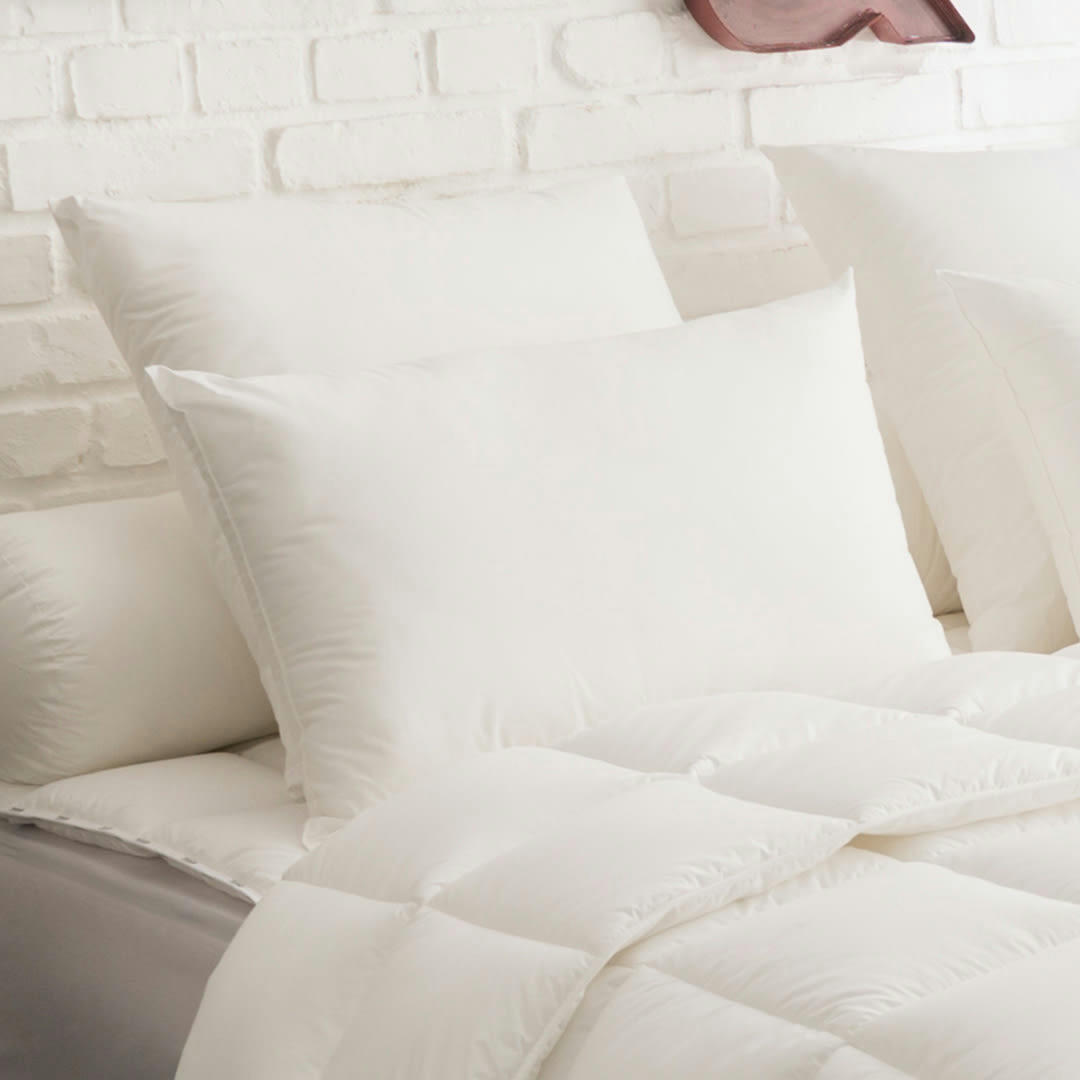 - Oreiller Ultraconfort MEDIUM 65x65 cm - DODO