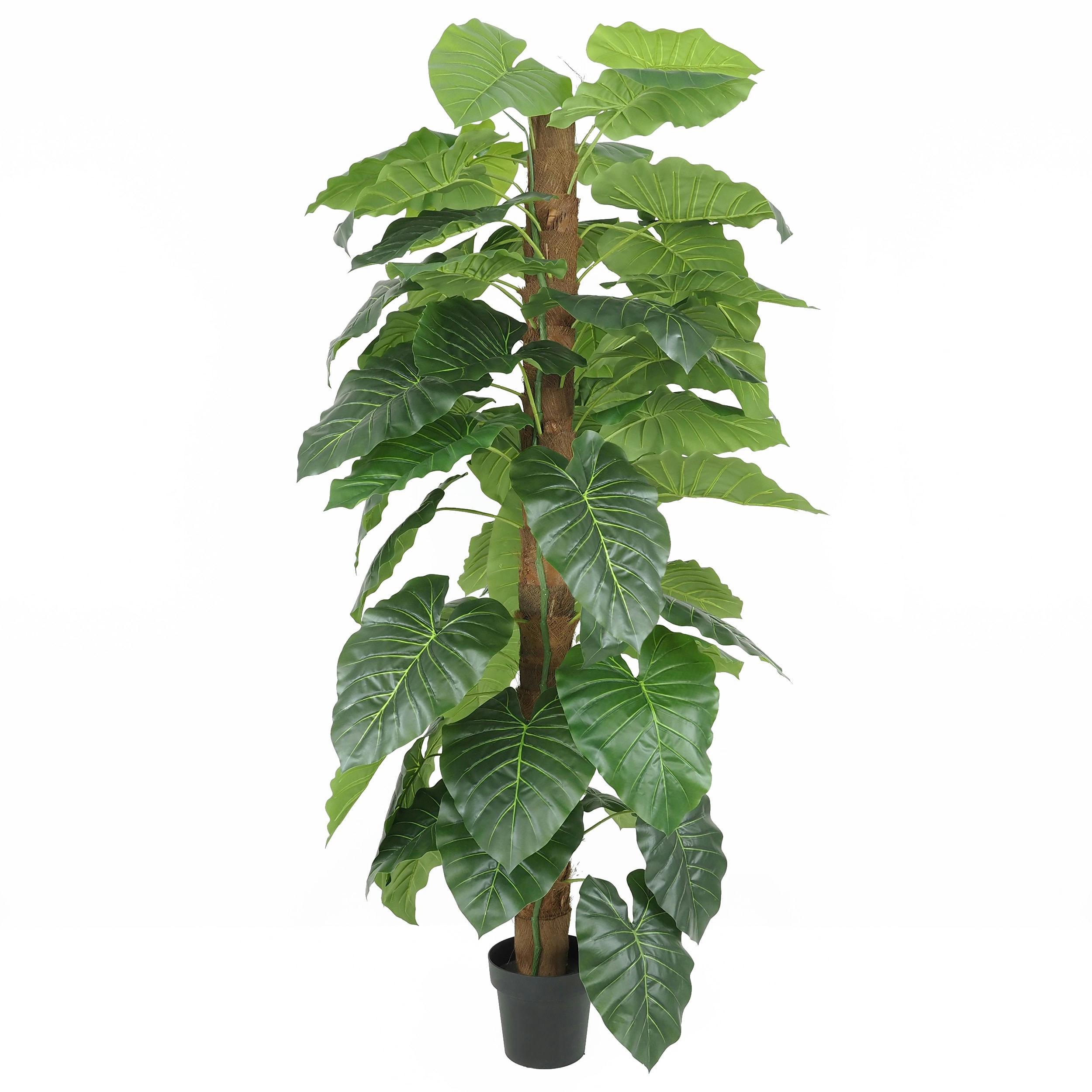 - Philodendron artificiel tronc coco 180cm