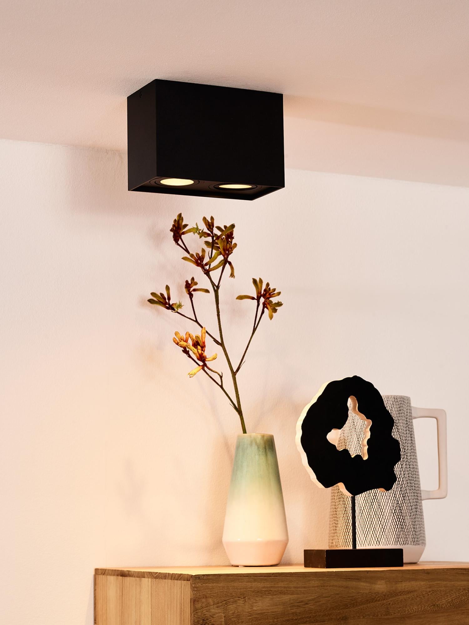 Lucide plafondspot TUBE - 2xGU10 - Zwart