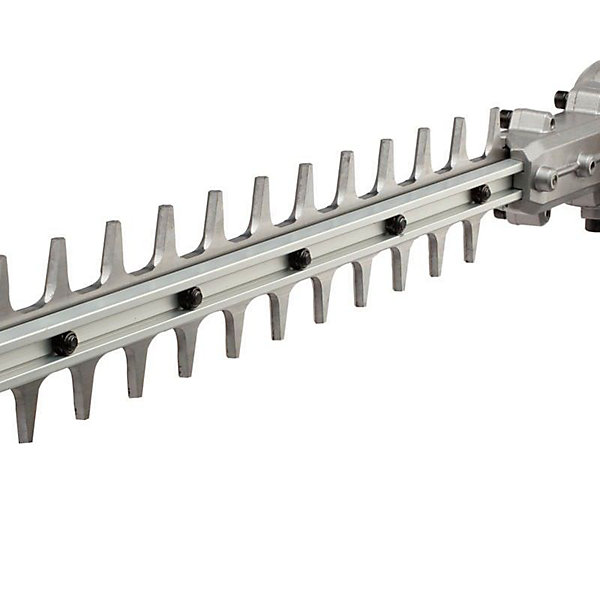 Outil taille-haies sur perche 160 cm Ego PowerHTA2000E