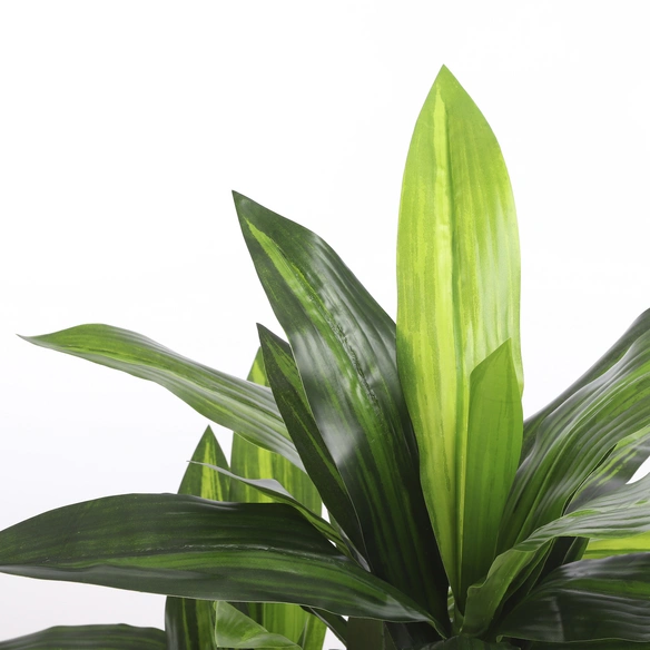 Topfpflanze »Mica Plants All Seasons«