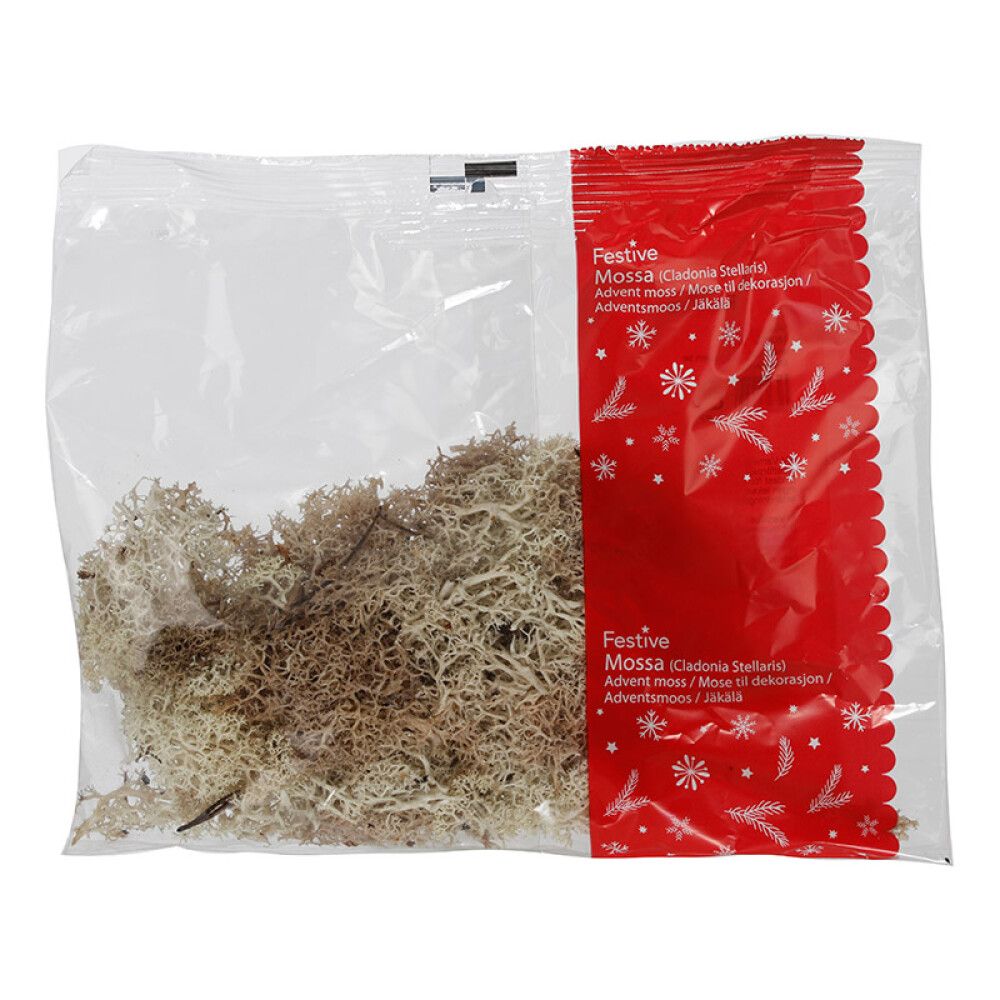 JULEDEKORASJON HVITMOSE 40G NATUR