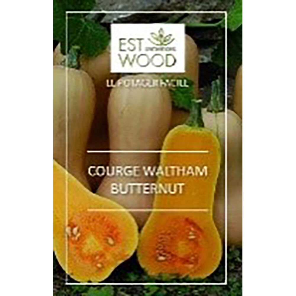 Semence Courge Waltham Butternut orange 1 gr