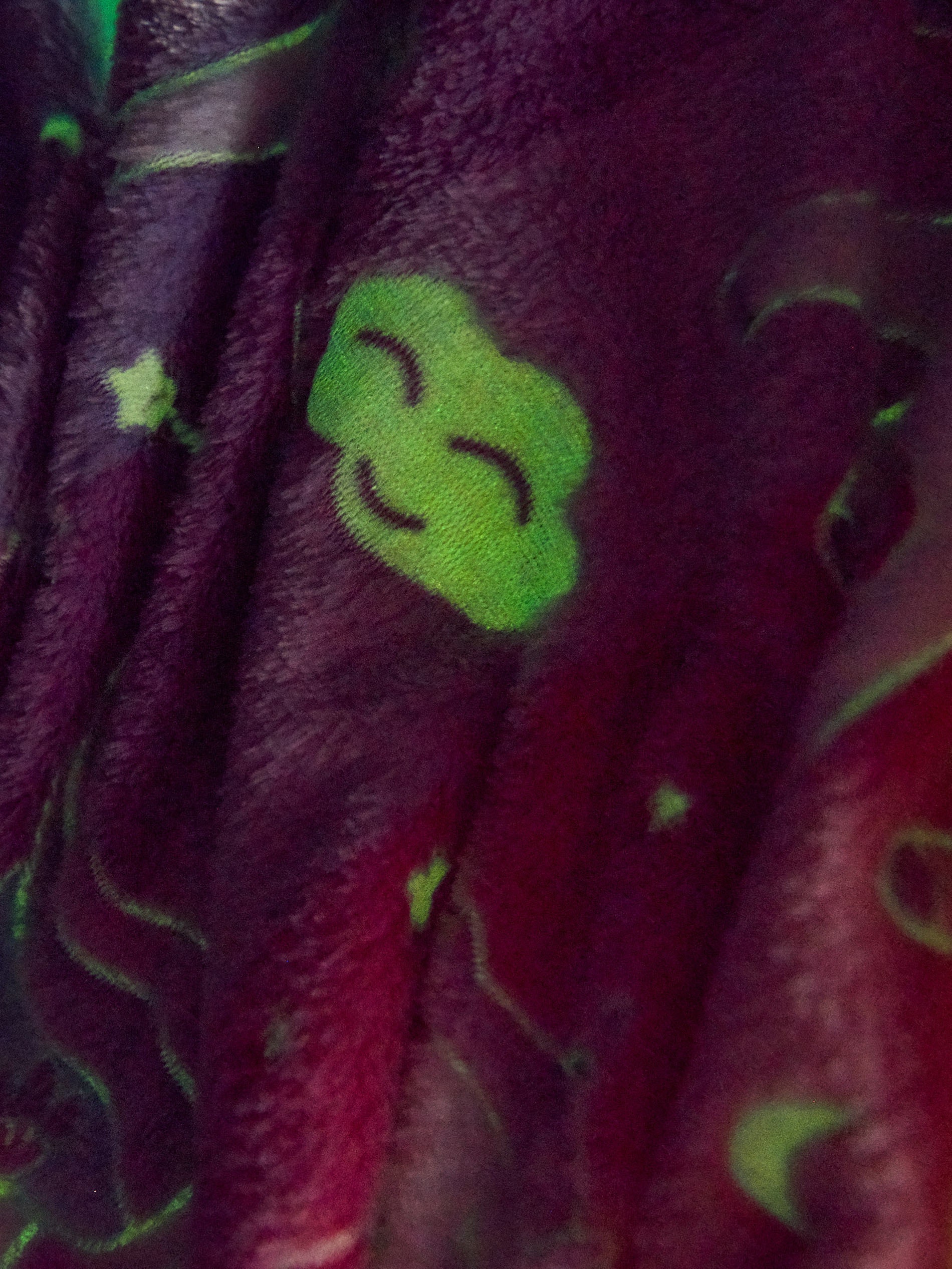 Koc z fluorescencyjnym nadrukiem w jednorożce