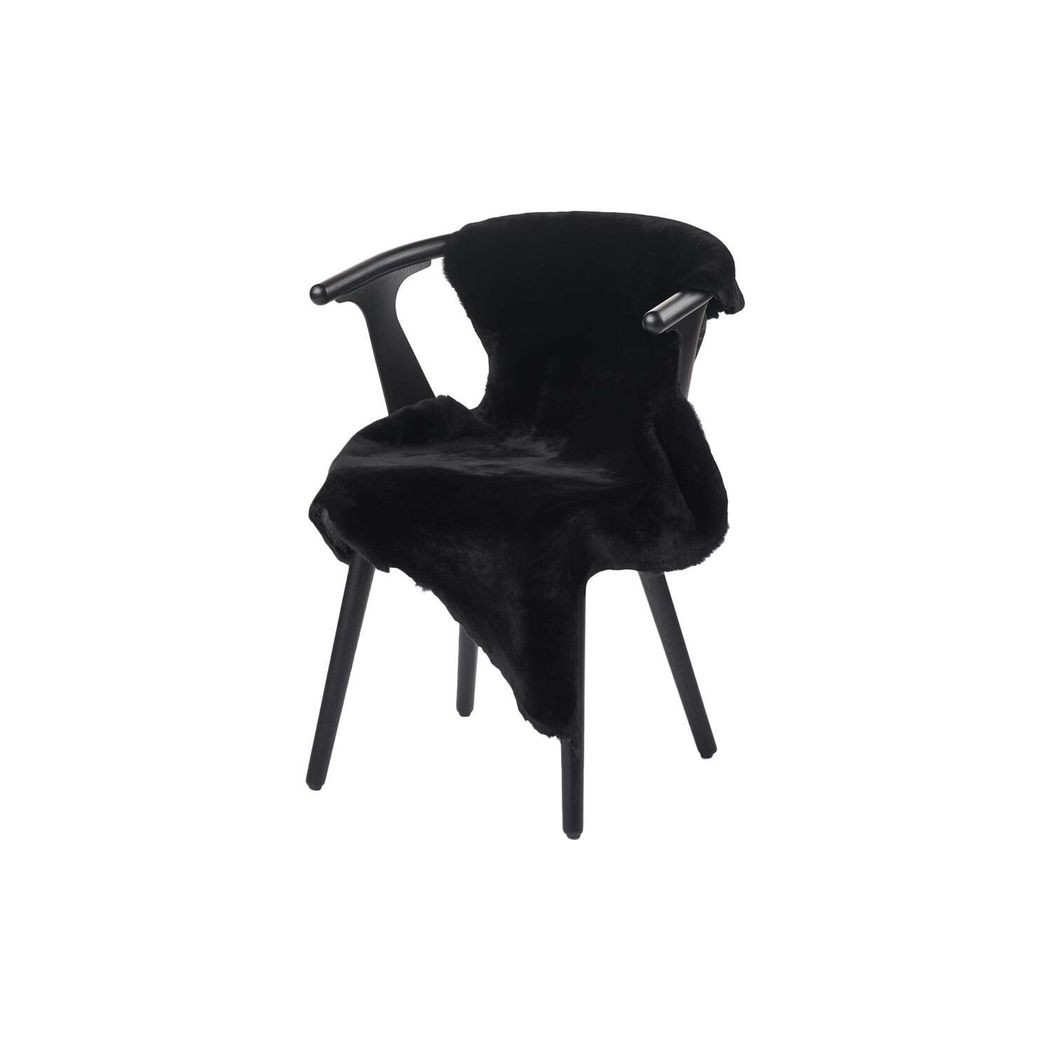 Australsk lammeskind, black