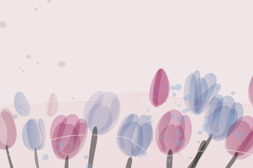 Fototapeta Akwarelowe Tulipany W Stylu Boho 90x60cm