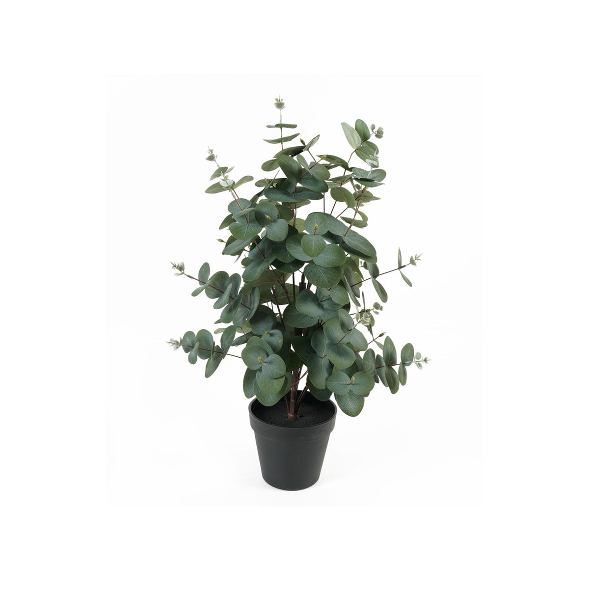 Present Time kunstplant Eucalyptus Leaf - groen - 25x25x54cm