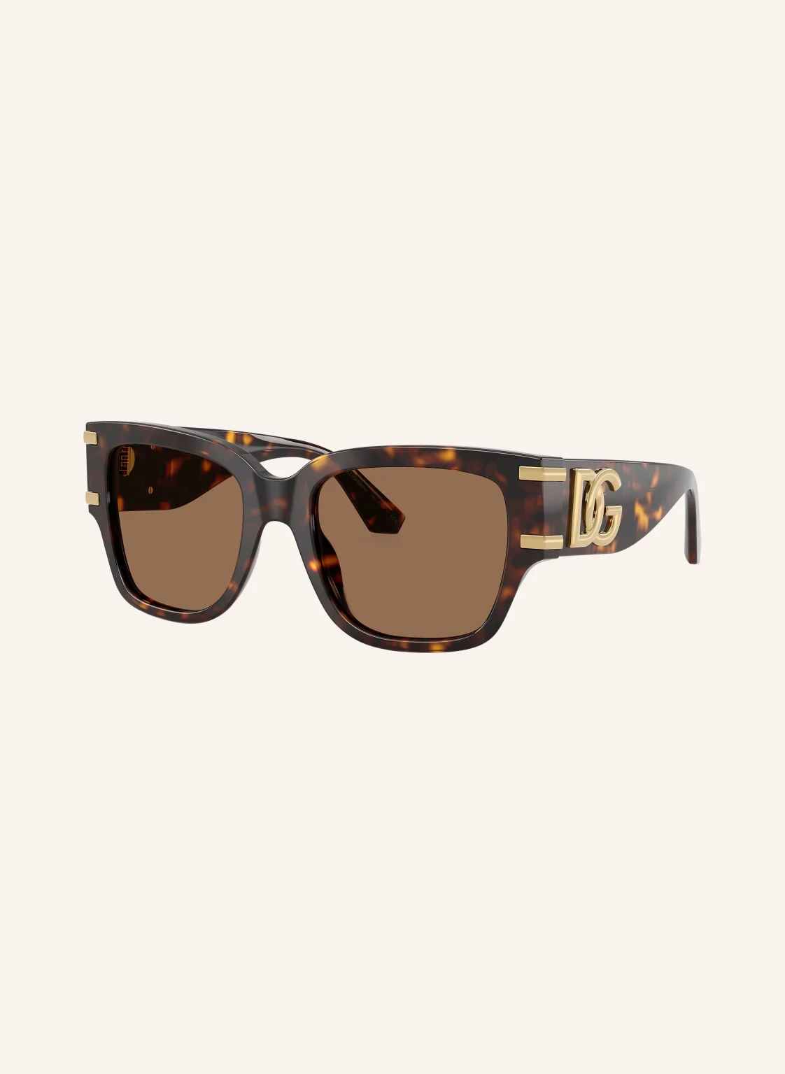 DOLCE & GABBANA Sonnenbrille DG4563