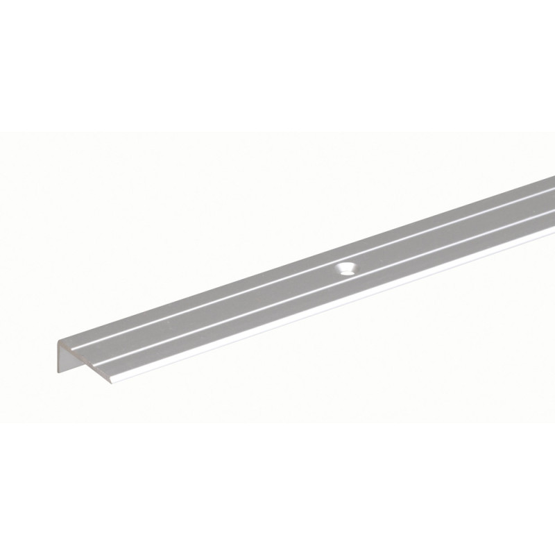 Nez de marche percé en aluminium argenté 24,5 x 10 mm 1 m ALBERTS
