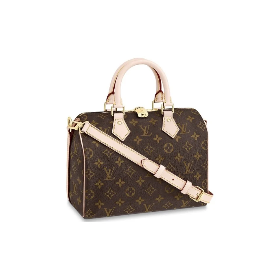 Louis Vuitton LV Speedy 25
