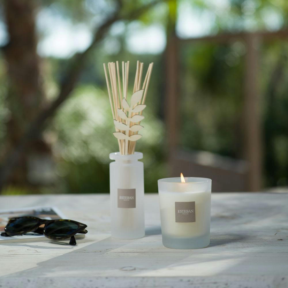 PÊCHE DE VIGNE - Bouquet parfumé 100ml