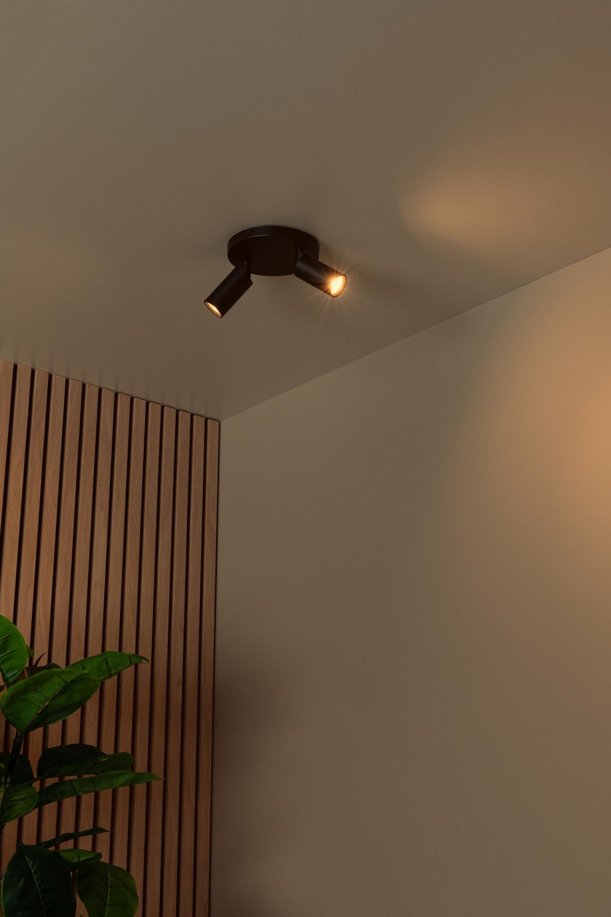 Lucide plafondspot RITMO - 2xGU10 (MR11) - Zwart
