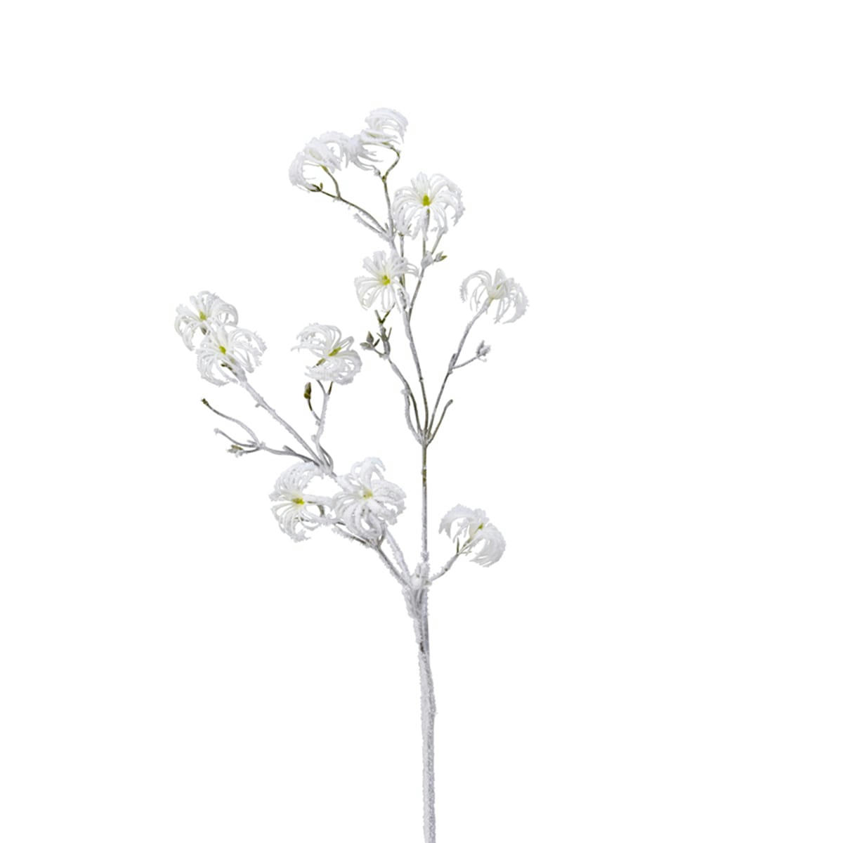 NOËL - Branche de clématites enneigées h100
