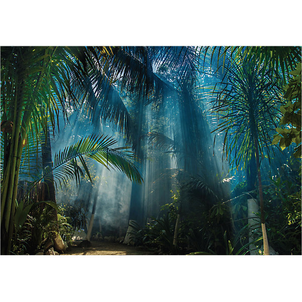 Papier peint panoramique jungle préencollé jungle des tropiques H 250 x L 360 cm