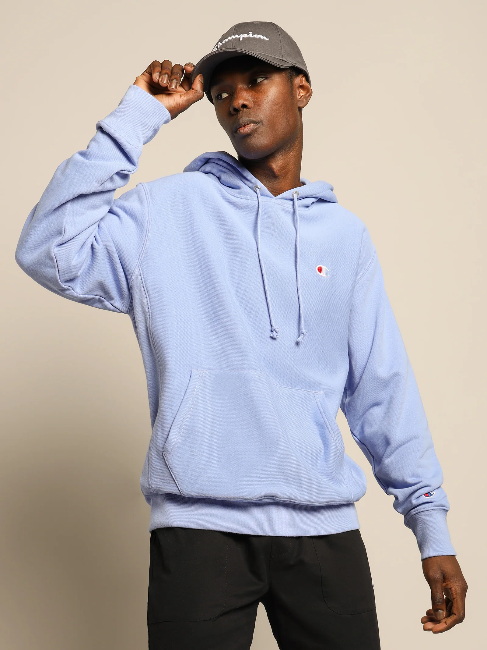 Reverse Weave Hoodie