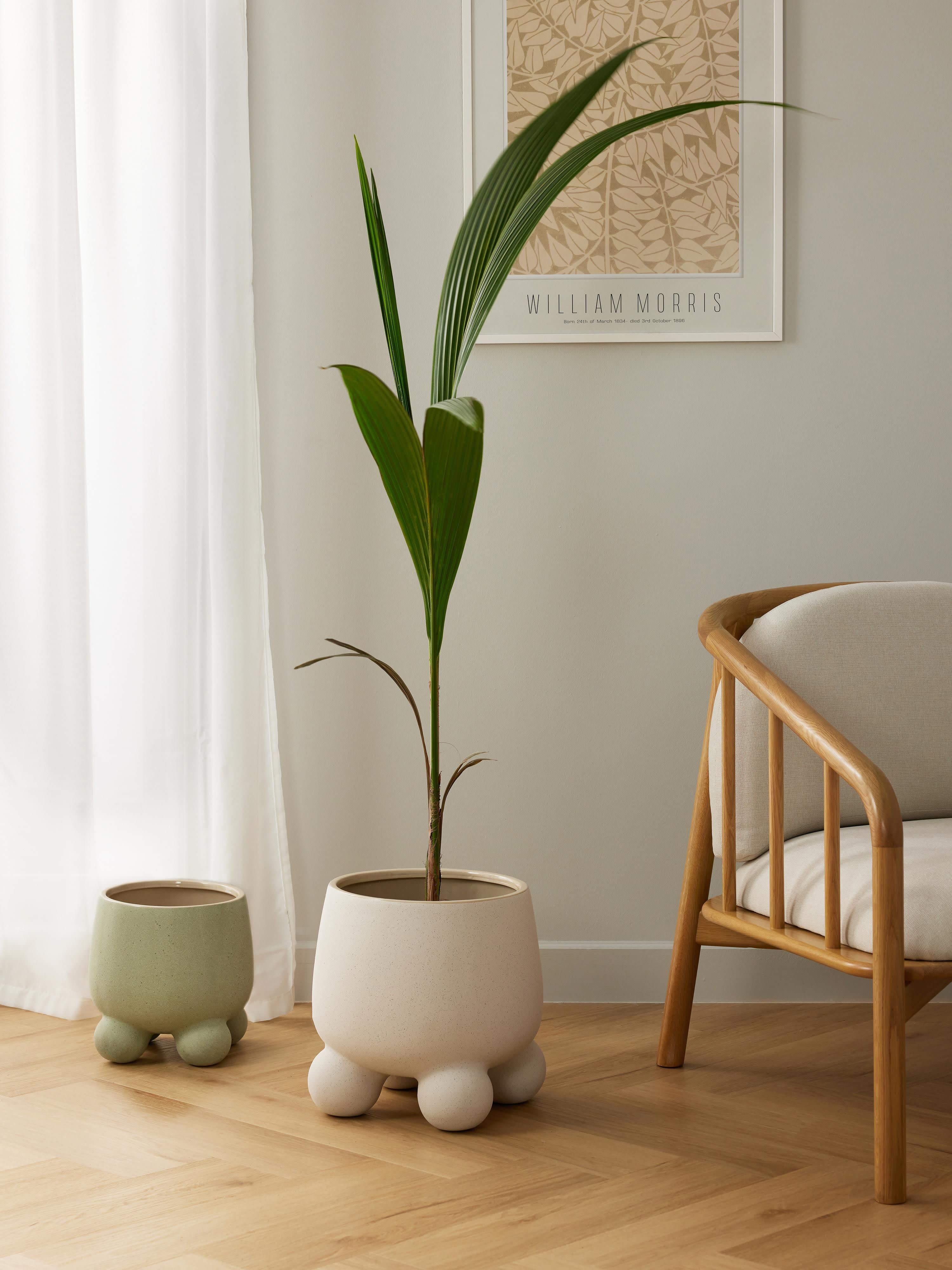 Großer übertopf Olea, H 32 cm