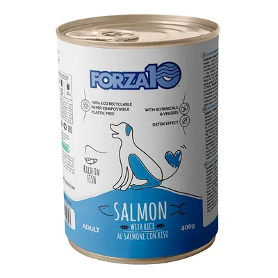 Forza10 Maintenance Salmon & Rice