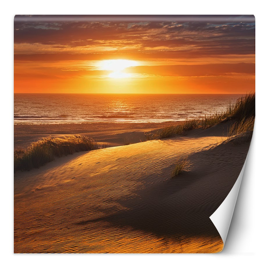 Feeby Fototapeta Zachód Słońca Plaża Natura 100x100