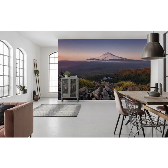 Vliestapete »Kingdom«, Breite 450 cm, seidenmatt