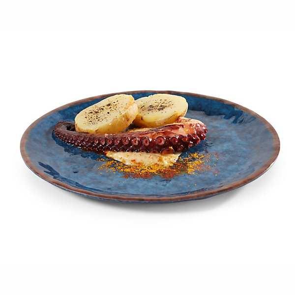 Assiette en Mélamine Bleue 25 à 30 cm - Pujadas - l0.1- L0.1- P0.1- h0.1- Mélaminé