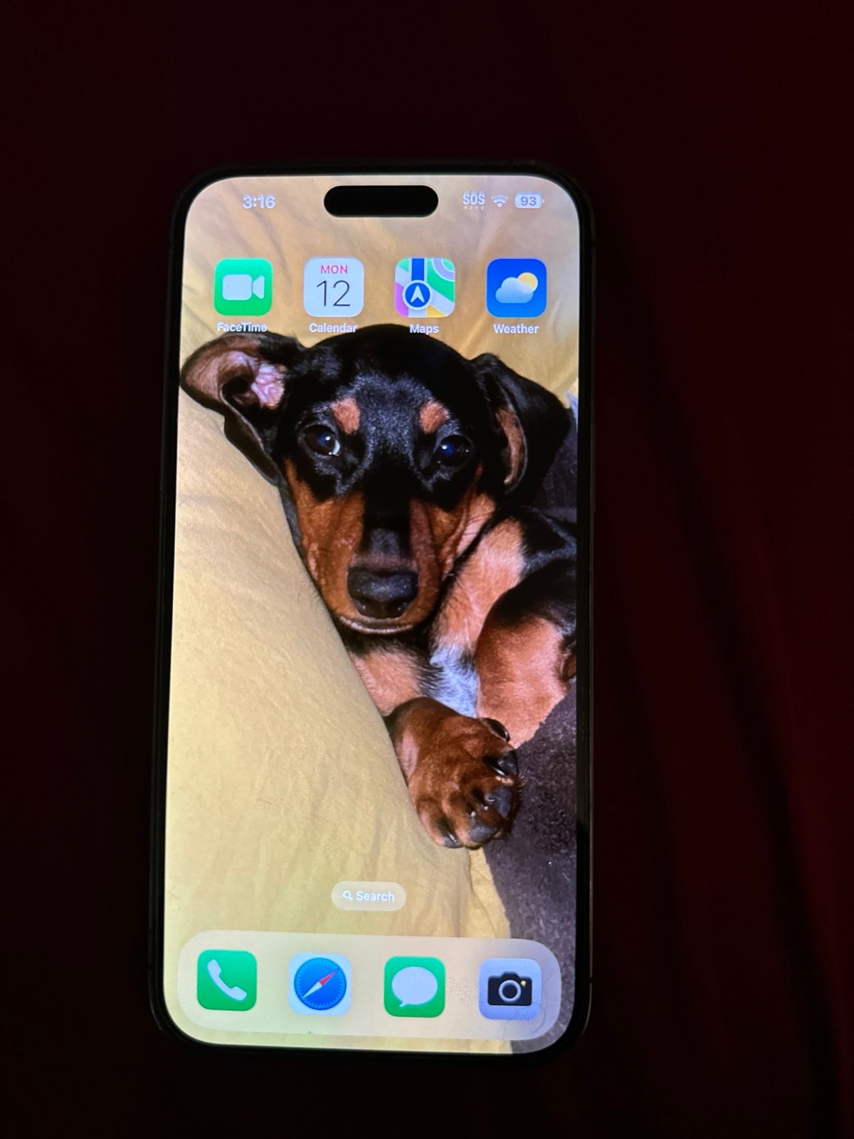 iPhone 14 Pro max unlocked